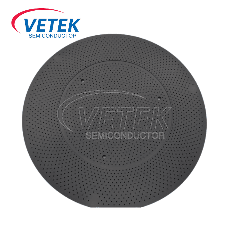 CVD sic coated wafer vensceptor